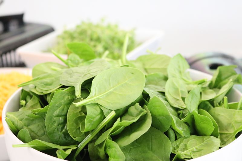 Fresh Garden Salad